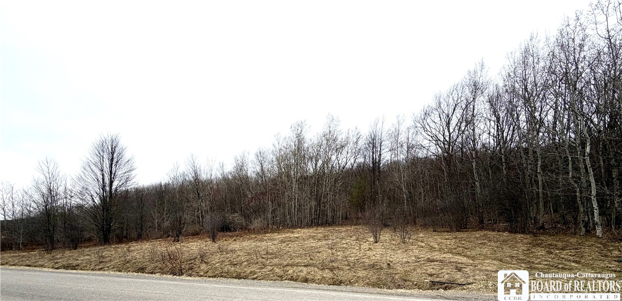 8528 Jackson Hill Road Cuba, NY 14739 - Photo 1 of 10