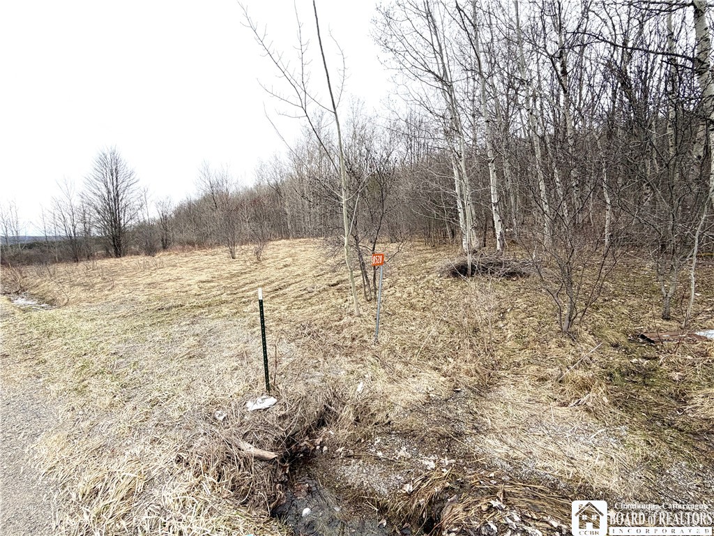 8528 Jackson Hill Road Cuba, NY 14739 - Photo 2 of 10