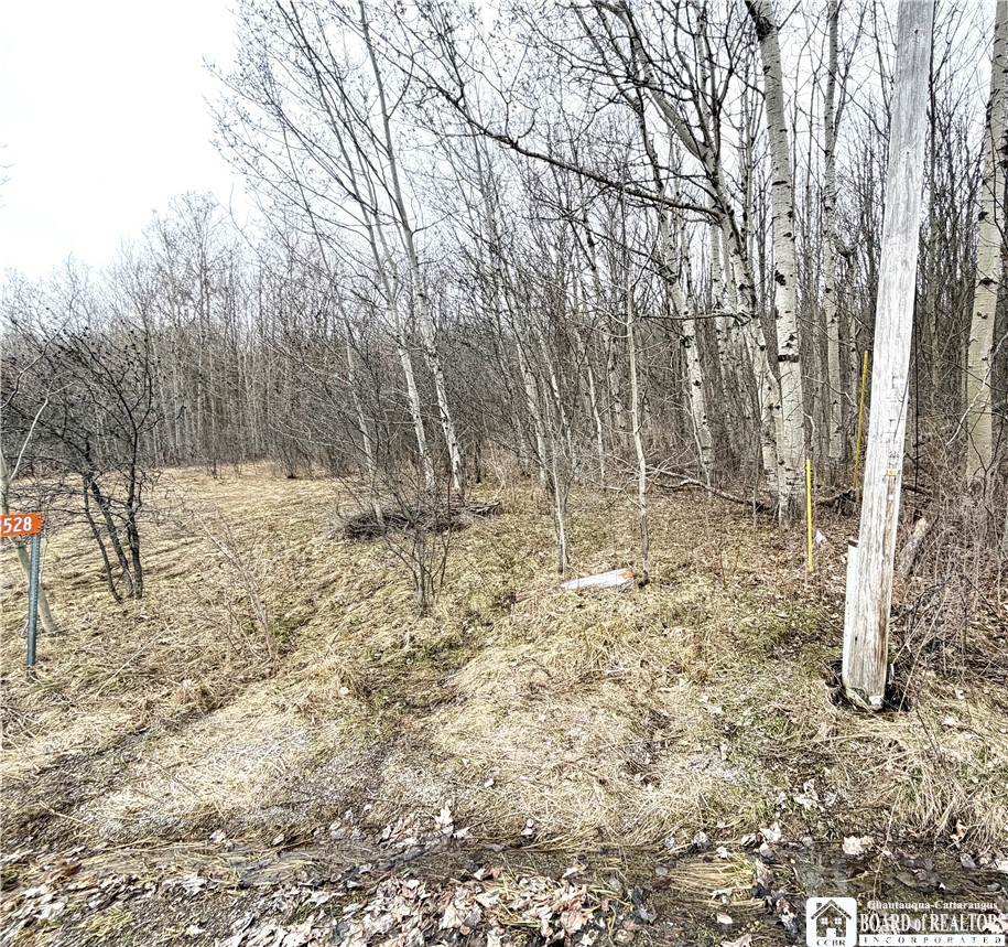 8528 Jackson Hill Road Cuba, NY 14739 - Photo 3 of 10