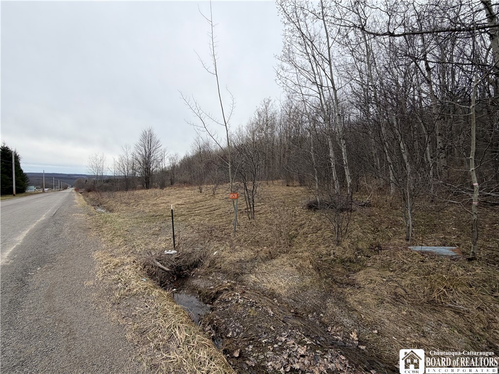 8528 Jackson Hill Road Cuba, NY 14739 - Photo 4 of 10