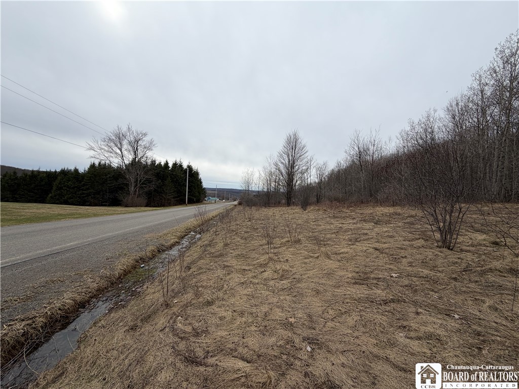 8528 Jackson Hill Road Cuba, NY 14739 - Photo 5 of 10