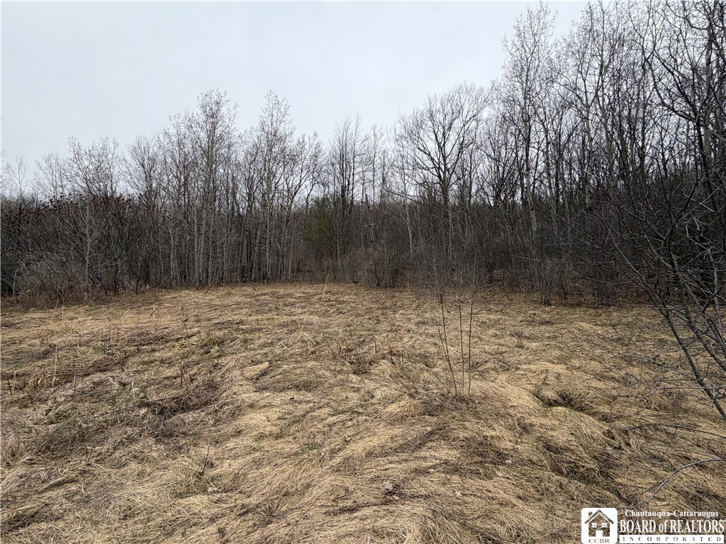 8528 Jackson Hill Road Cuba, NY 14739 - Photo 6 of 10