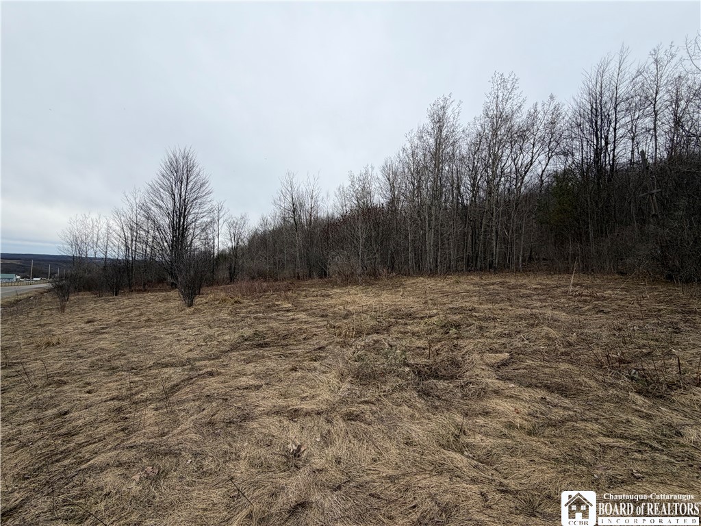 8528 Jackson Hill Road Cuba, NY 14739 - Photo 7 of 10