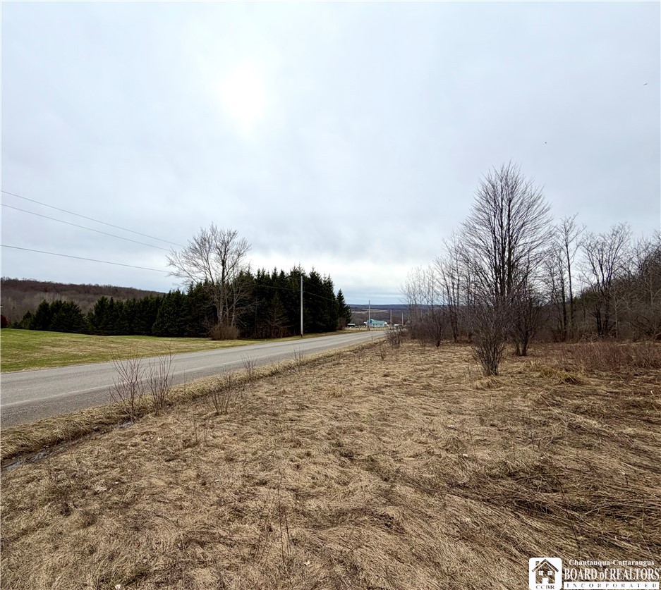 8528 Jackson Hill Road Cuba, NY 14739 - Photo 8 of 10