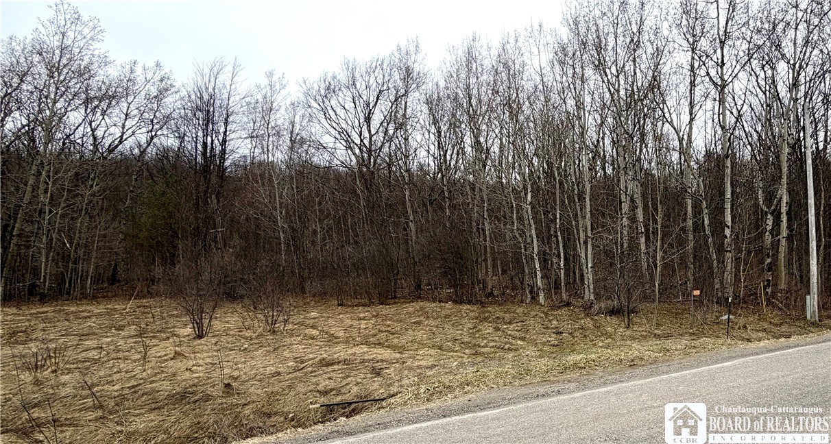 8528 Jackson Hill Road Cuba, NY 14739 - Photo 9 of 10