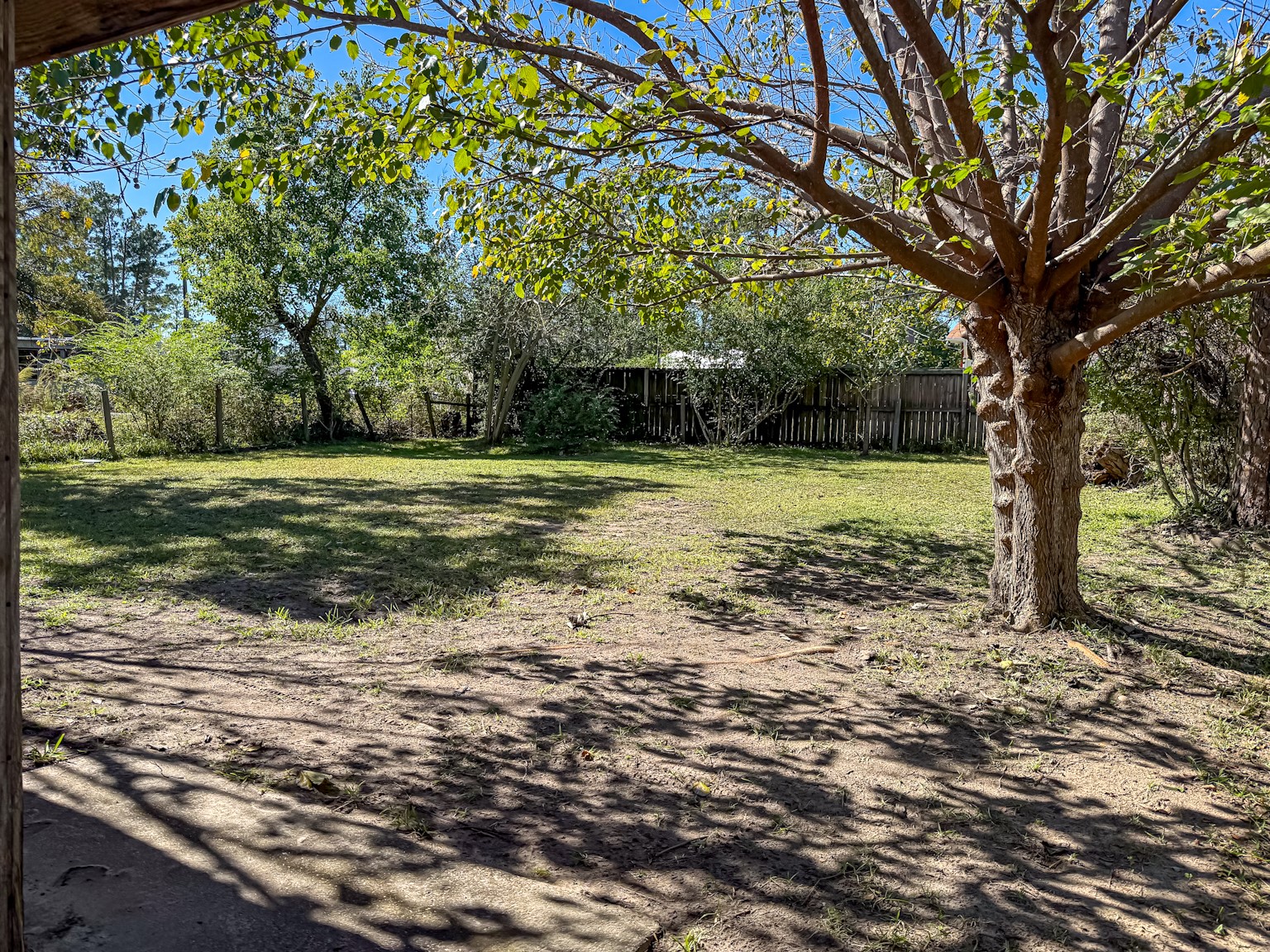 142 West Hickory Cove Onalaska, TX 77360 - Photo 24 of 32 a view of a yard with a tree
