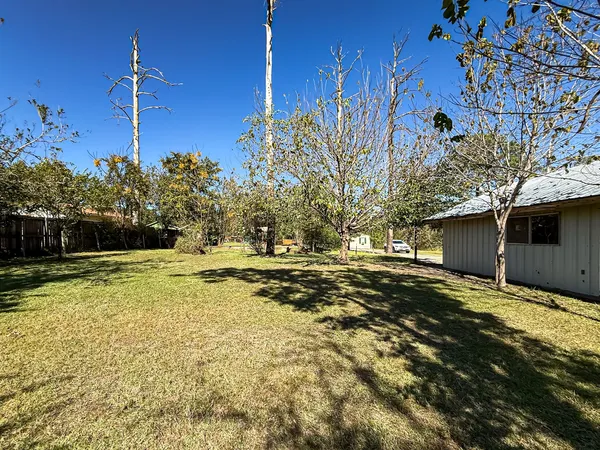 a view of a yard with plants and trees