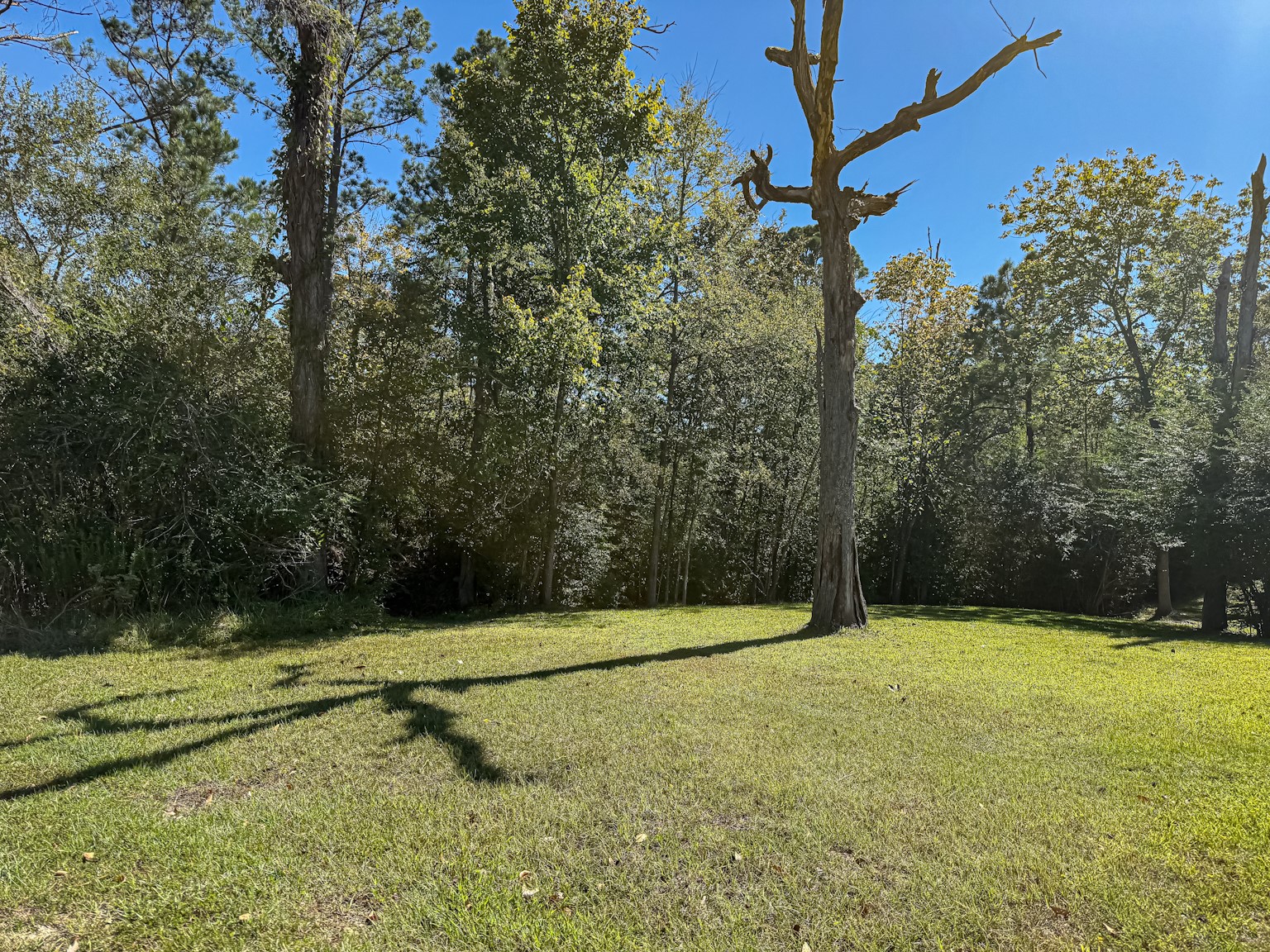 142 West Hickory Cove Onalaska, TX 77360 - Photo 31 of 32 a view of an outdoor space