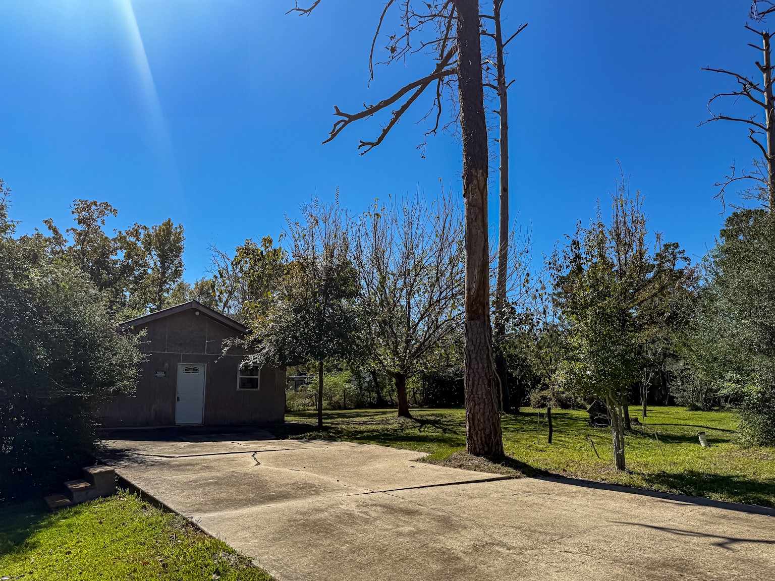 142 West Hickory Cove Onalaska, TX 77360 - Photo 32 of 32 a view of a house with backyard and trees