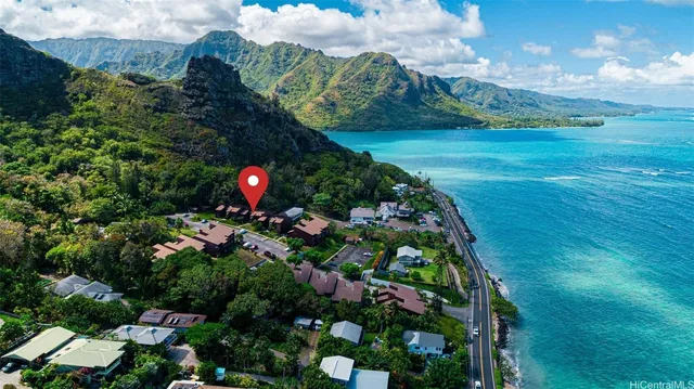 a picture of flowers in a garden