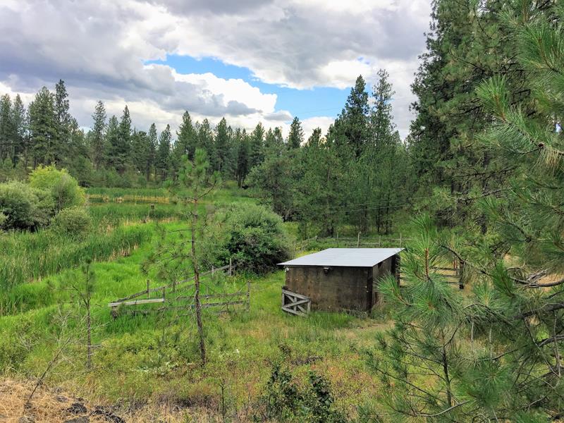 18511 South Short Road Cheney, WA 99004 - Photo 18 of 20