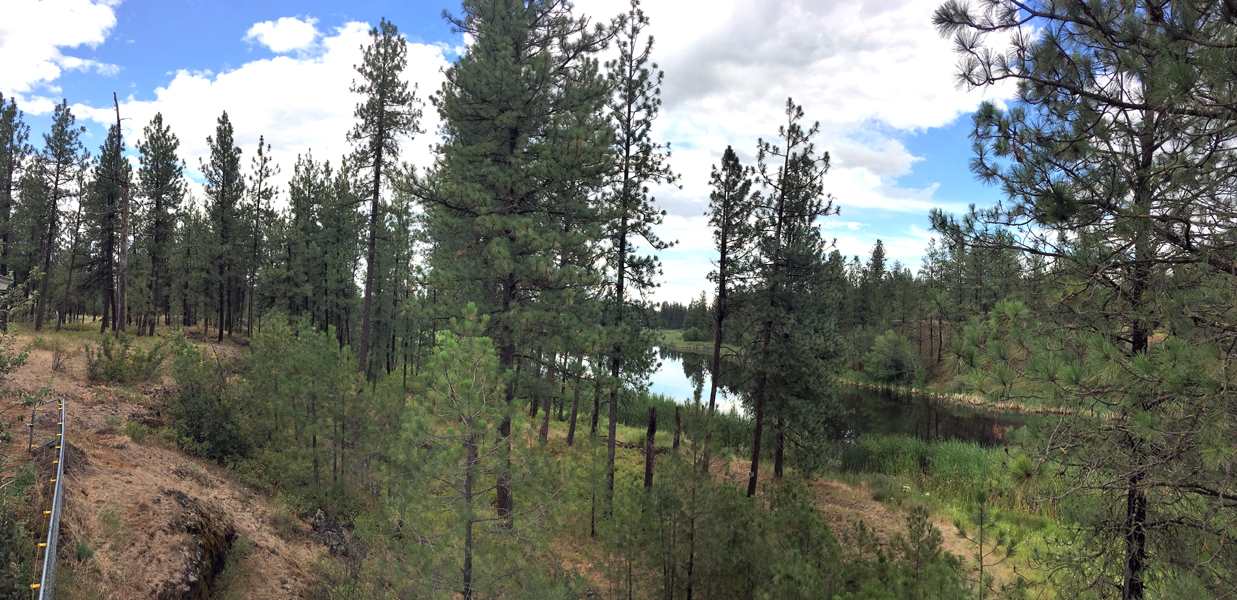 18511 South Short Road Cheney, WA 99004 - Photo 20 of 20