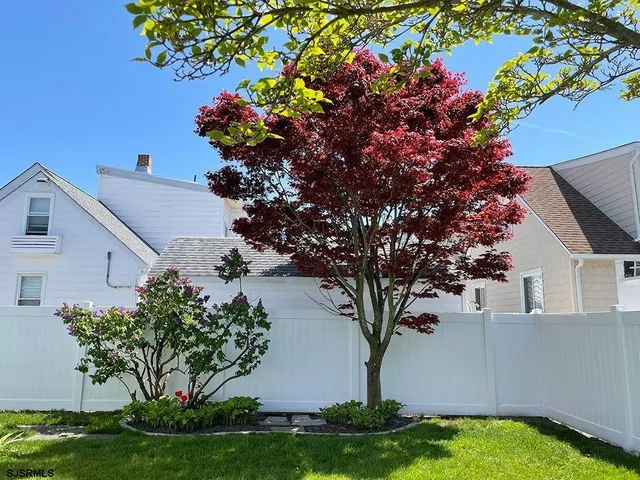 a view of a house with a big yard and a large tree
