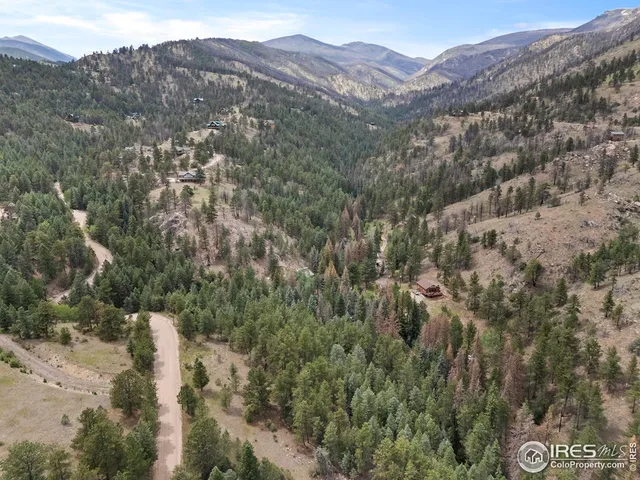 a view of a forest with mountains in the background