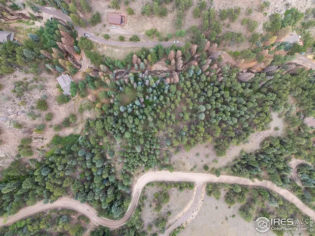 a view of a yard with plants and large trees