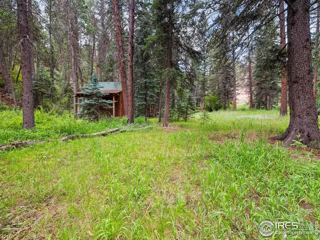 a view of swimming pool with a yard