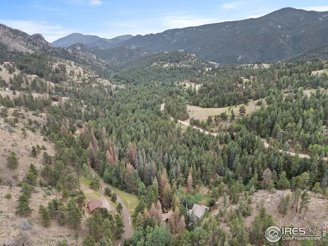 a view of a forest with mountains in the background