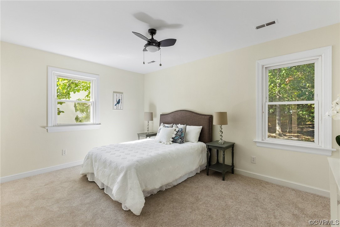 6940 Manning Road Chesterfield, VA 23832 - Photo 18 of 29 Carpeted bedroom with multiple windows and ceiling