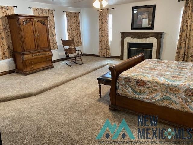 5215 Beargrass Road Roswell, NM 88201 - Photo 12 of 54 Gallery Image 12