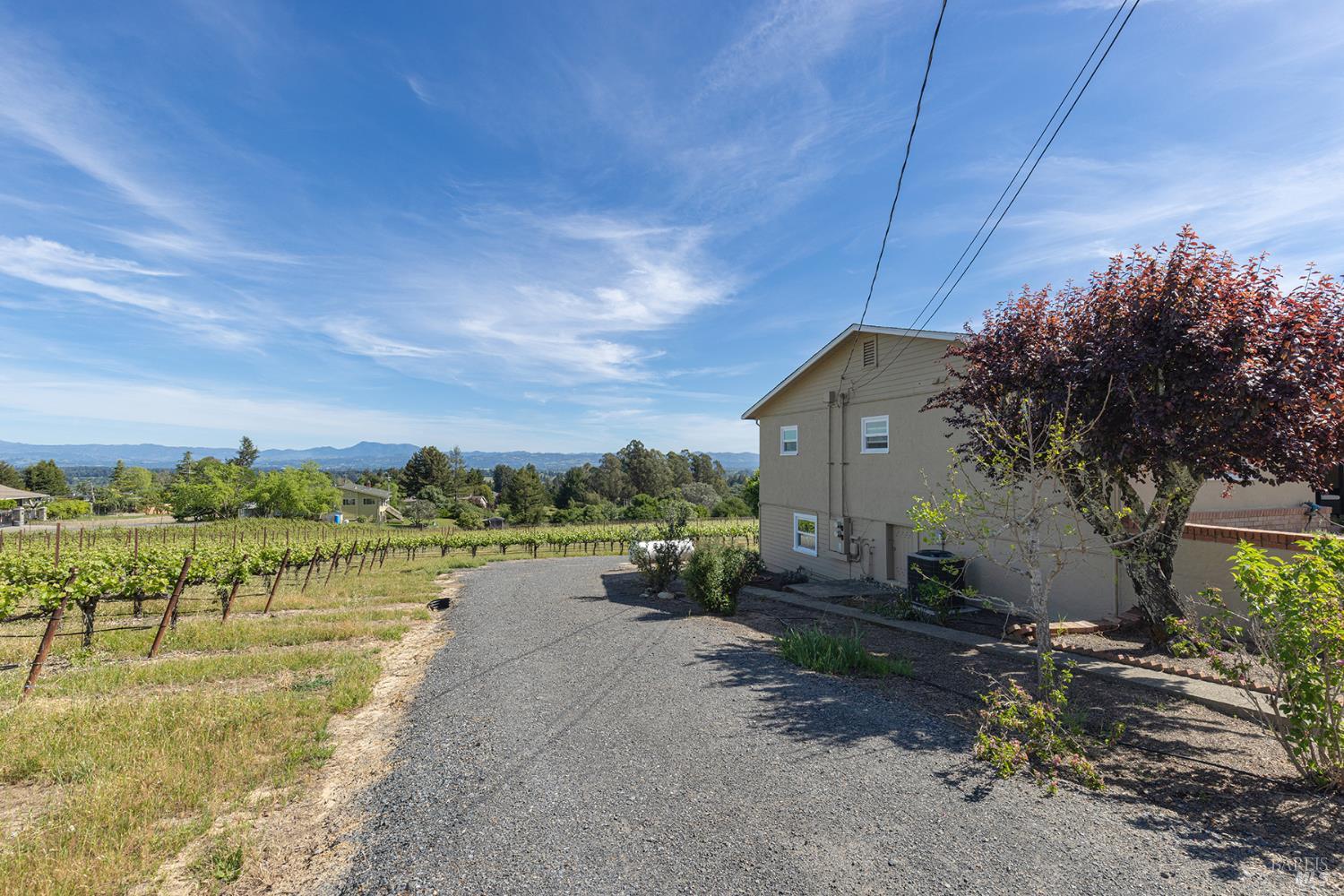 1365 Grandview Road Sebastopol, CA 95472 - Photo 36 of 74