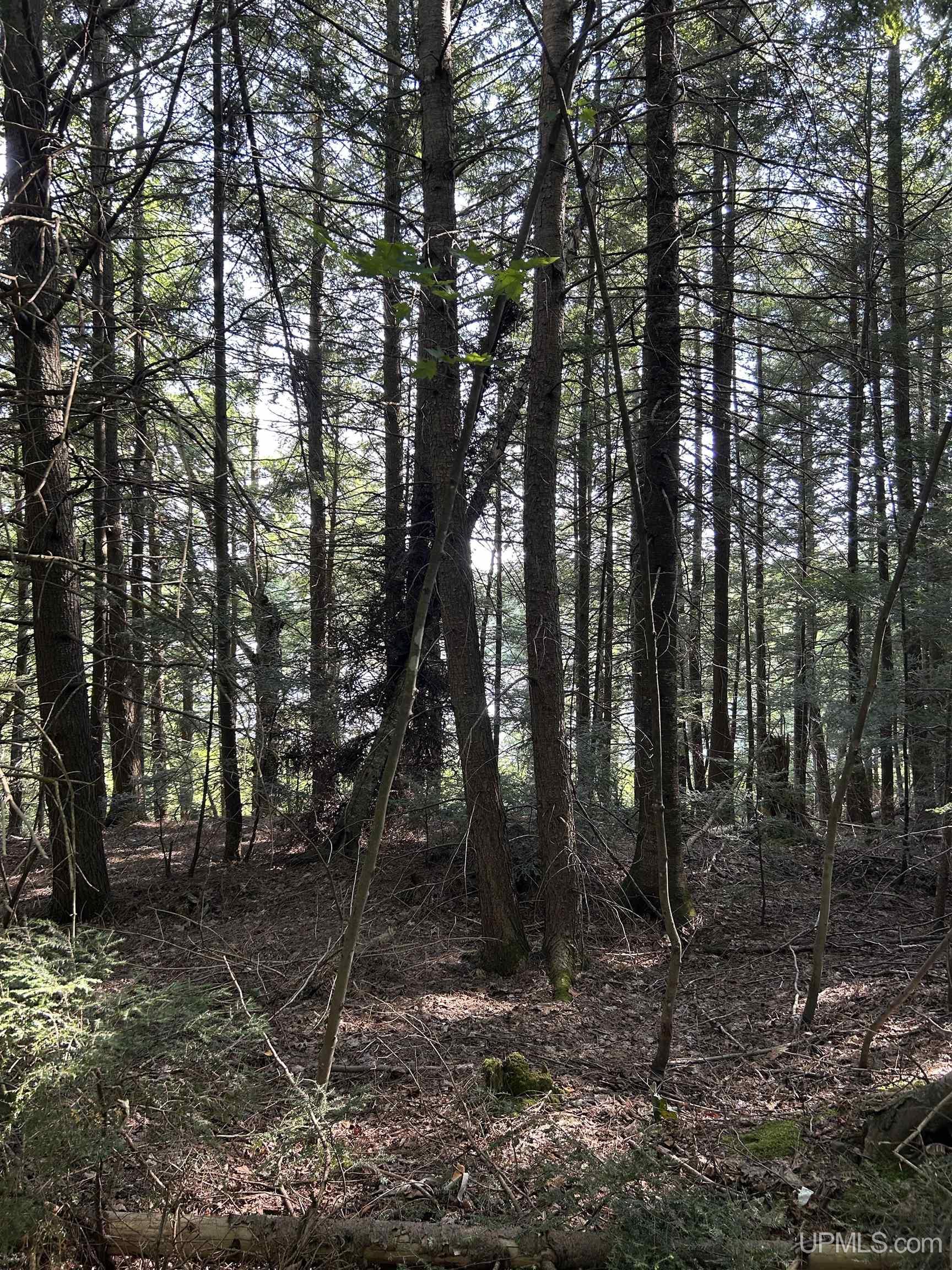 Tbd Tbd Ski Hill Road Little Lake, MI 49833 - Photo 29 of 29