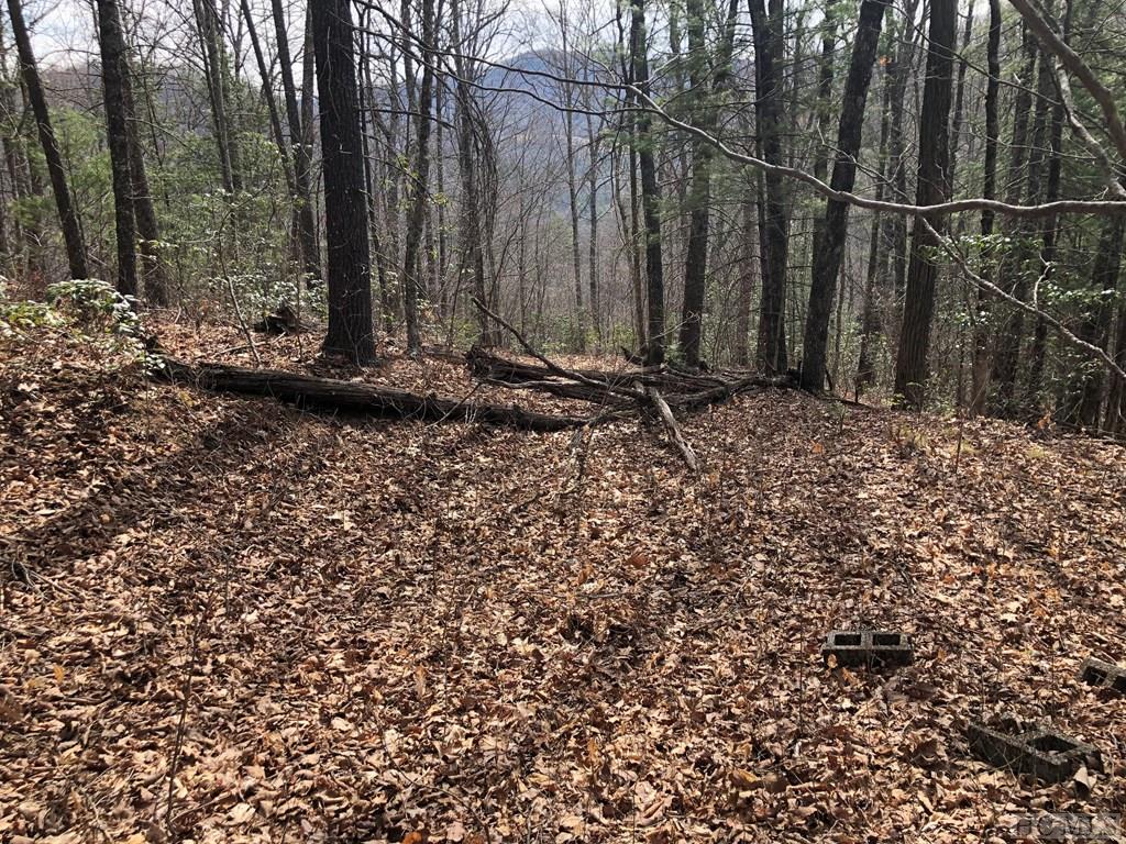 0 Pine Creek Road Cullowhee, NC 28723 - Photo 3 of 9 Gallery Image 3