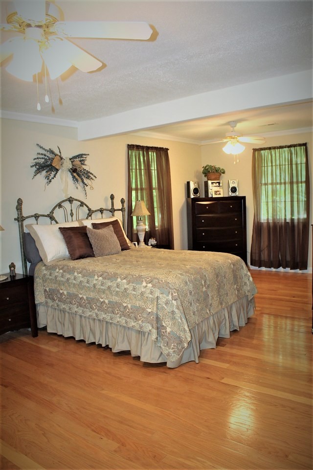 647 Gamble Gap Road Tellico Plains, TN 37385 - Photo 21 of 39 Gallery Image 21