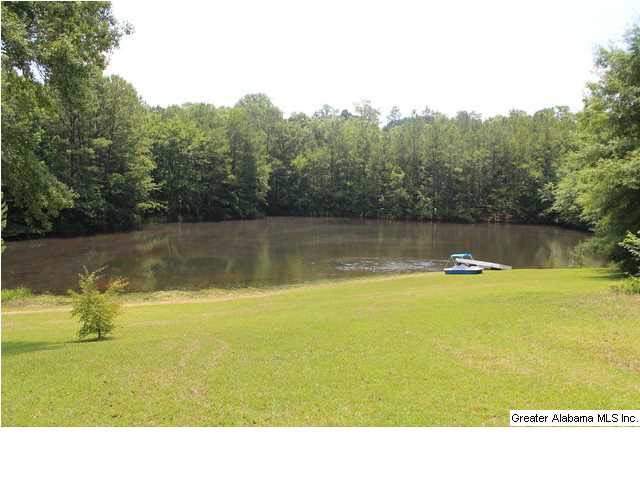 5619 Renfroe Road Talladega, AL 35160 - Photo 6 of 28