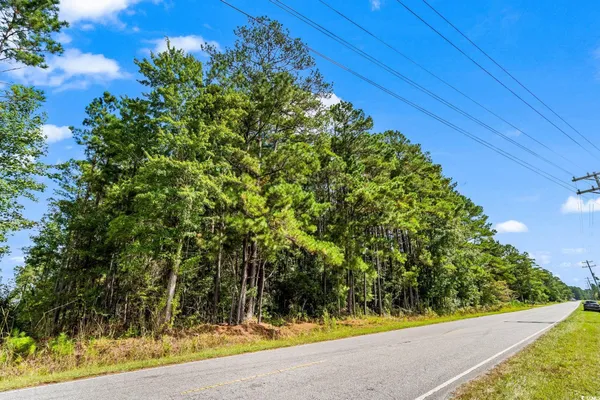$115,000 | Tbd West Bear Grass Road, Longs, SC 29568