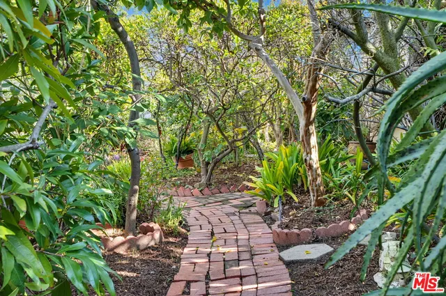a view of yard with green space