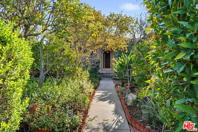 a view of a pathway with plants