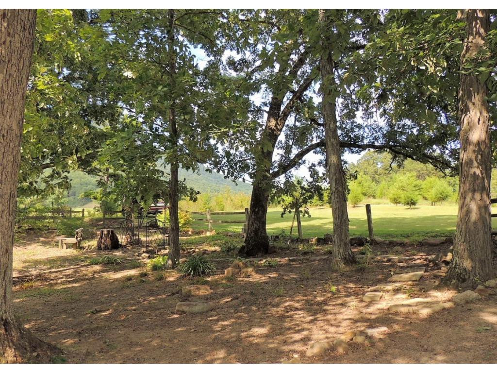 740 Nelse Roberts Road Chuckey, TN 37641 - Photo 28 of 35 Photo 28
