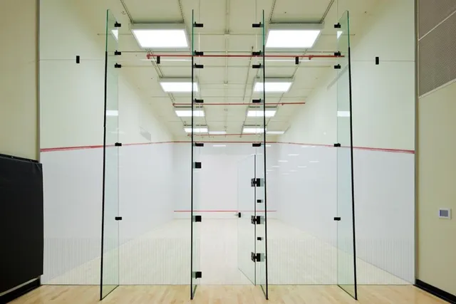 a view of a backyard with plants