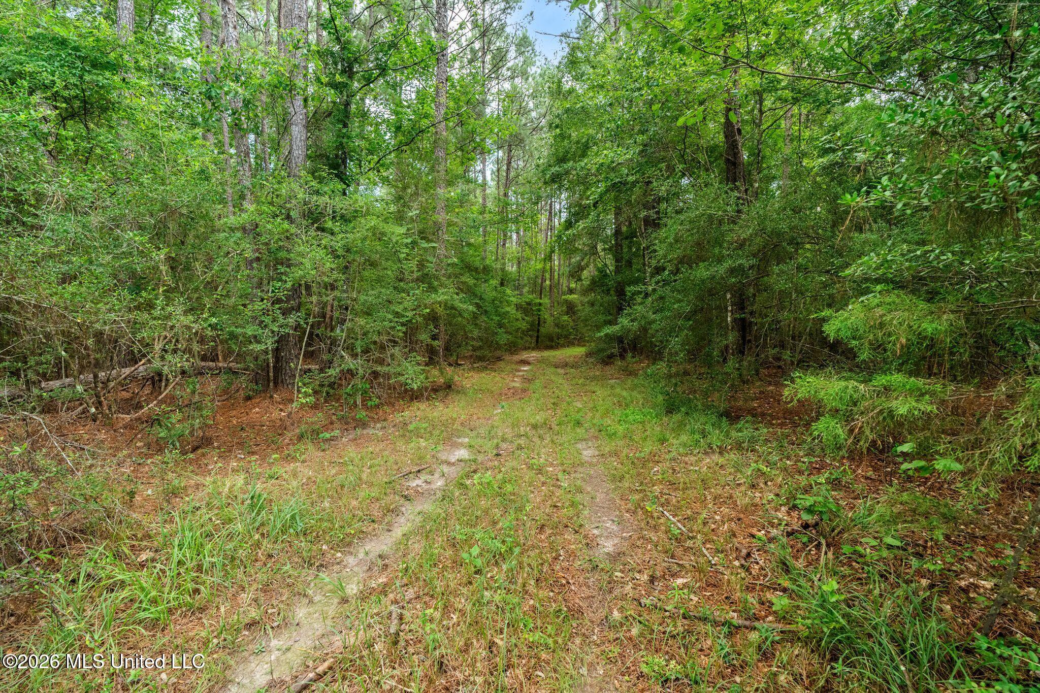 2111 Old Brookhaven Road Summit, MS 39666 - Photo 76 of 102 2111_Old_Brookhaven_Rd-100