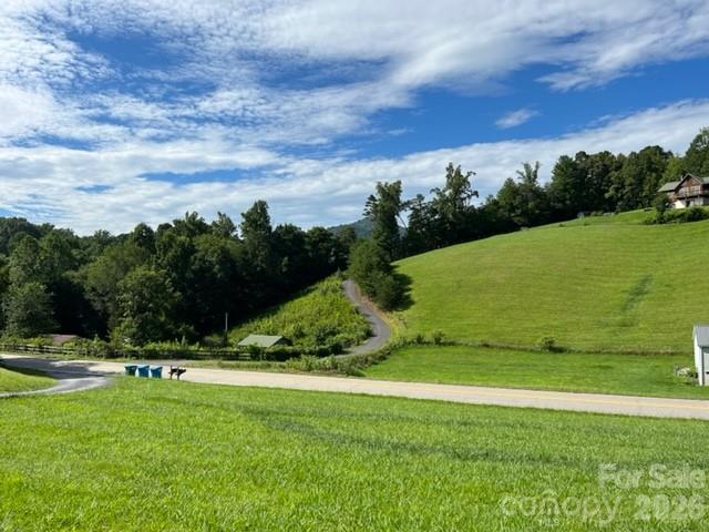 167 Gouges Branch Road Leicester, NC 28748 - Photo 24 of 30