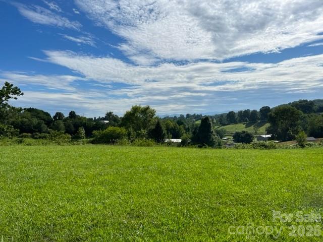 167 Gouges Branch Road Leicester, NC 28748 - Photo 25 of 30