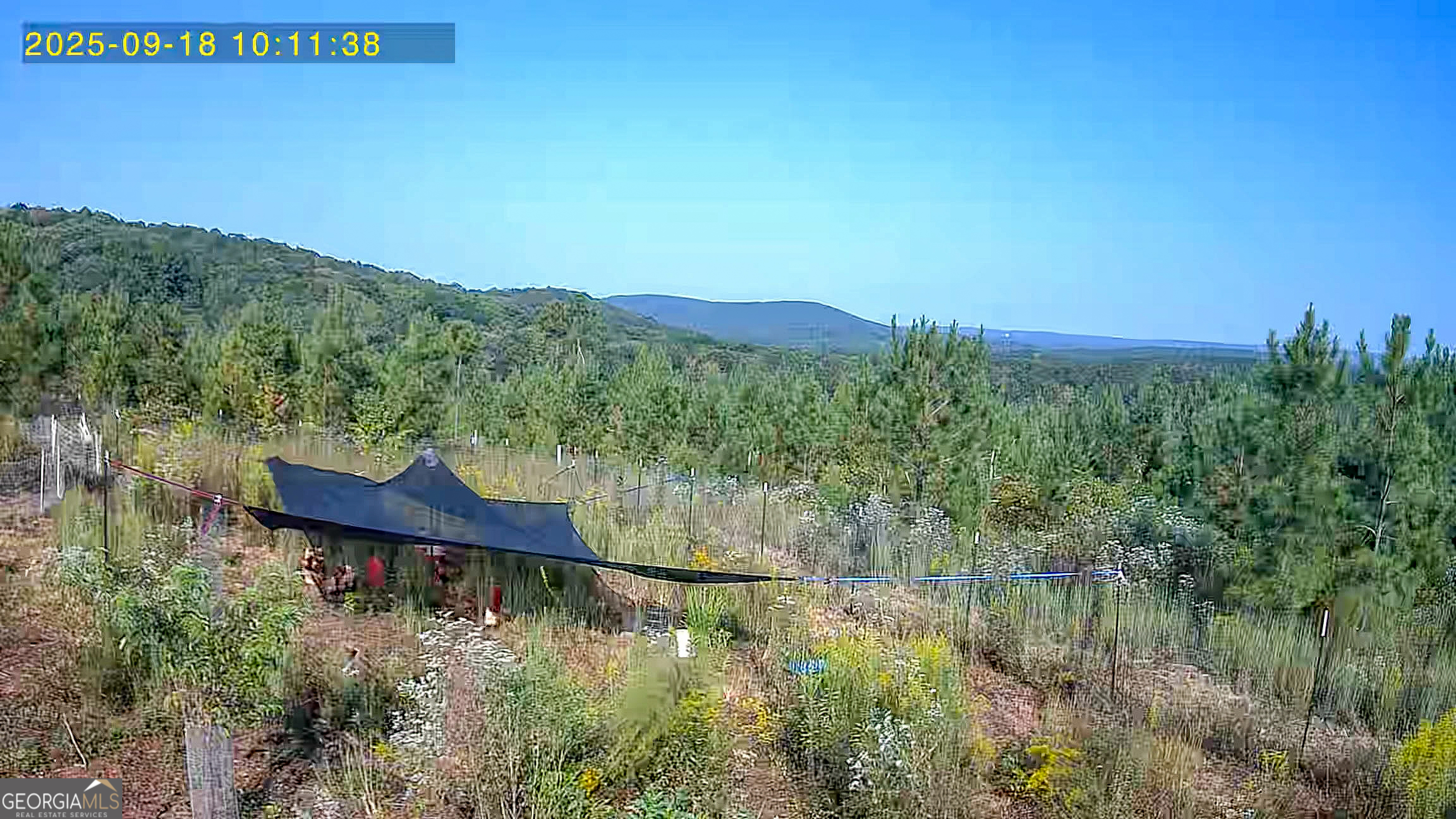 723 Brown Creek Road Shiloh, GA 31826 - Photo 3 of 14