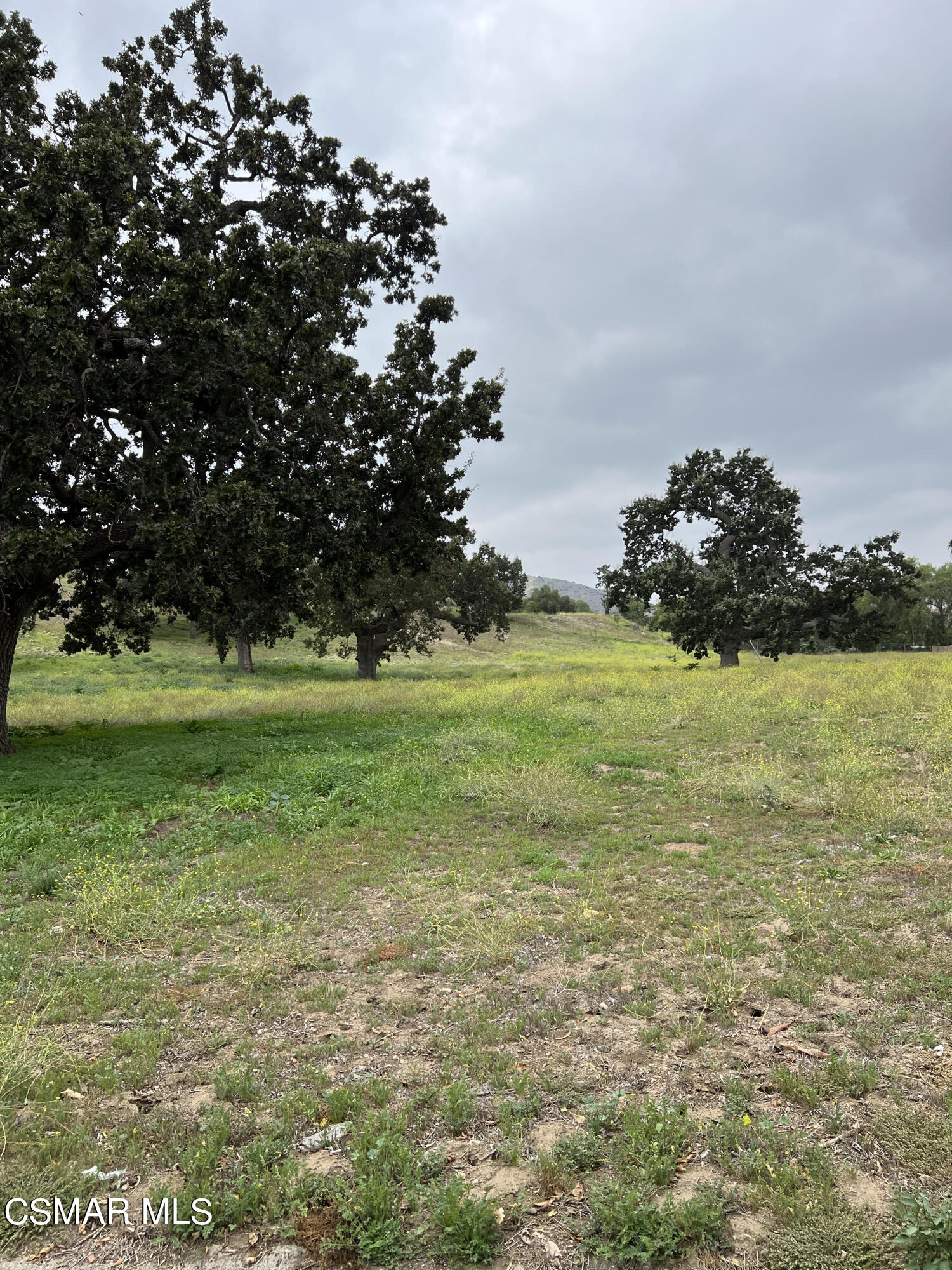 1550 Rory Lane, Unit 83 Simi Valley, CA 93063 - Photo 41 of 50 a view of a grassy field with an trees