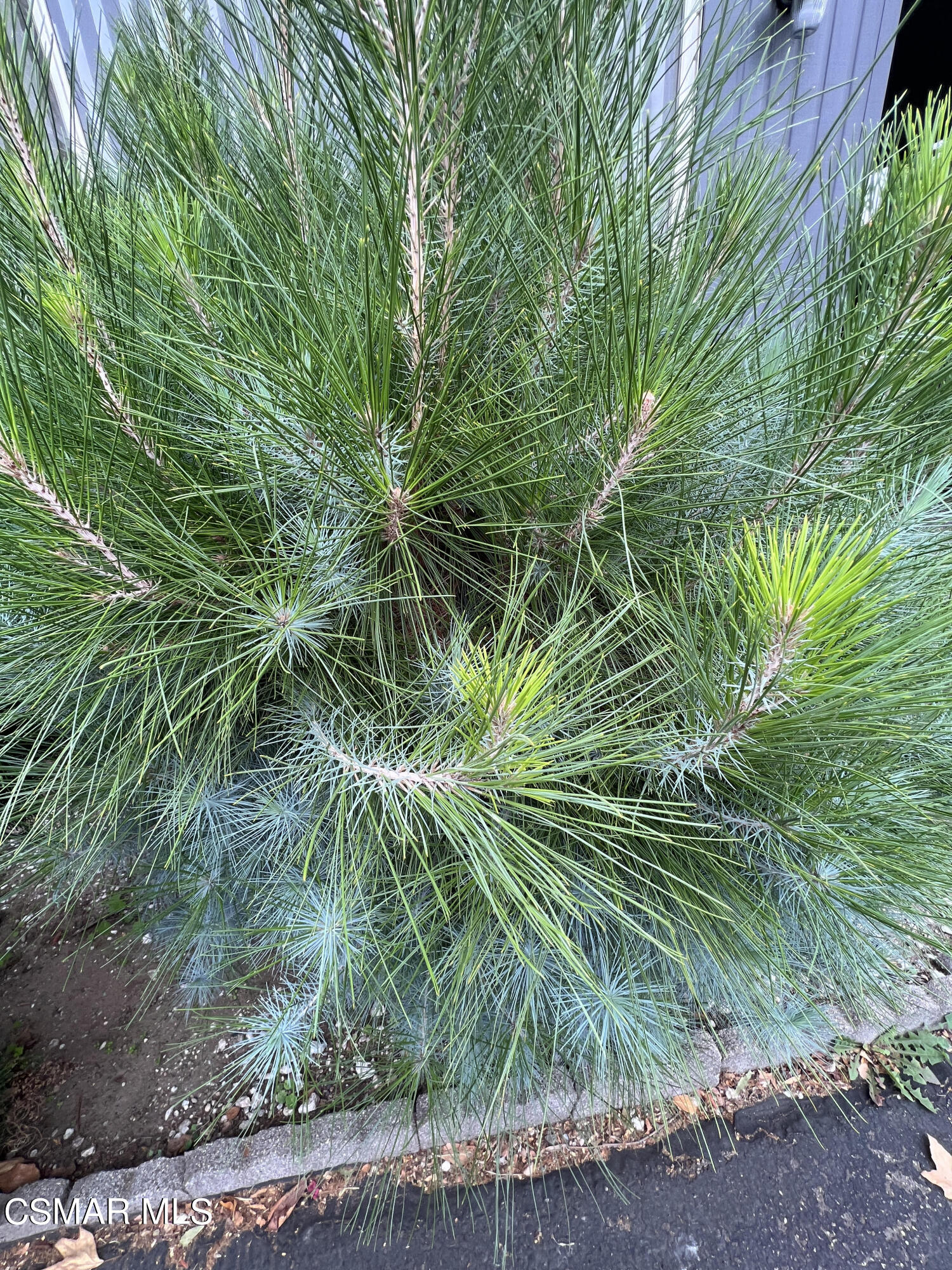 1550 Rory Lane, Unit 83 Simi Valley, CA 93063 - Photo 46 of 50