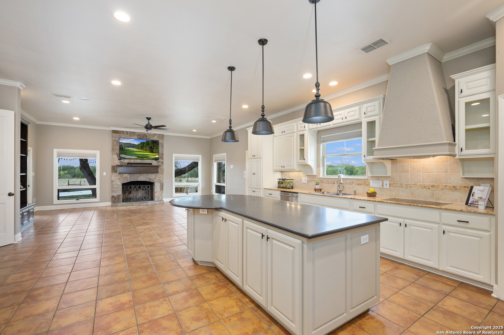 29755 No Le Hace Fair Oaks Ranch Fair Oaks Ranch, TX 78015 - Photo 10 of 53