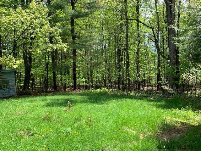 508 South Johnsburg Road Warrensburg, NY 12885 - Photo 6 of 22 Photo 6