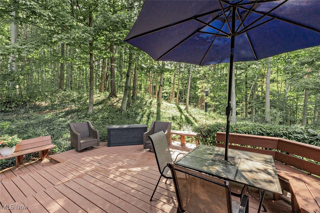 11855 Heath Road Chesterland, OH 44026 - Photo 35 of 49 Gallery Image 35