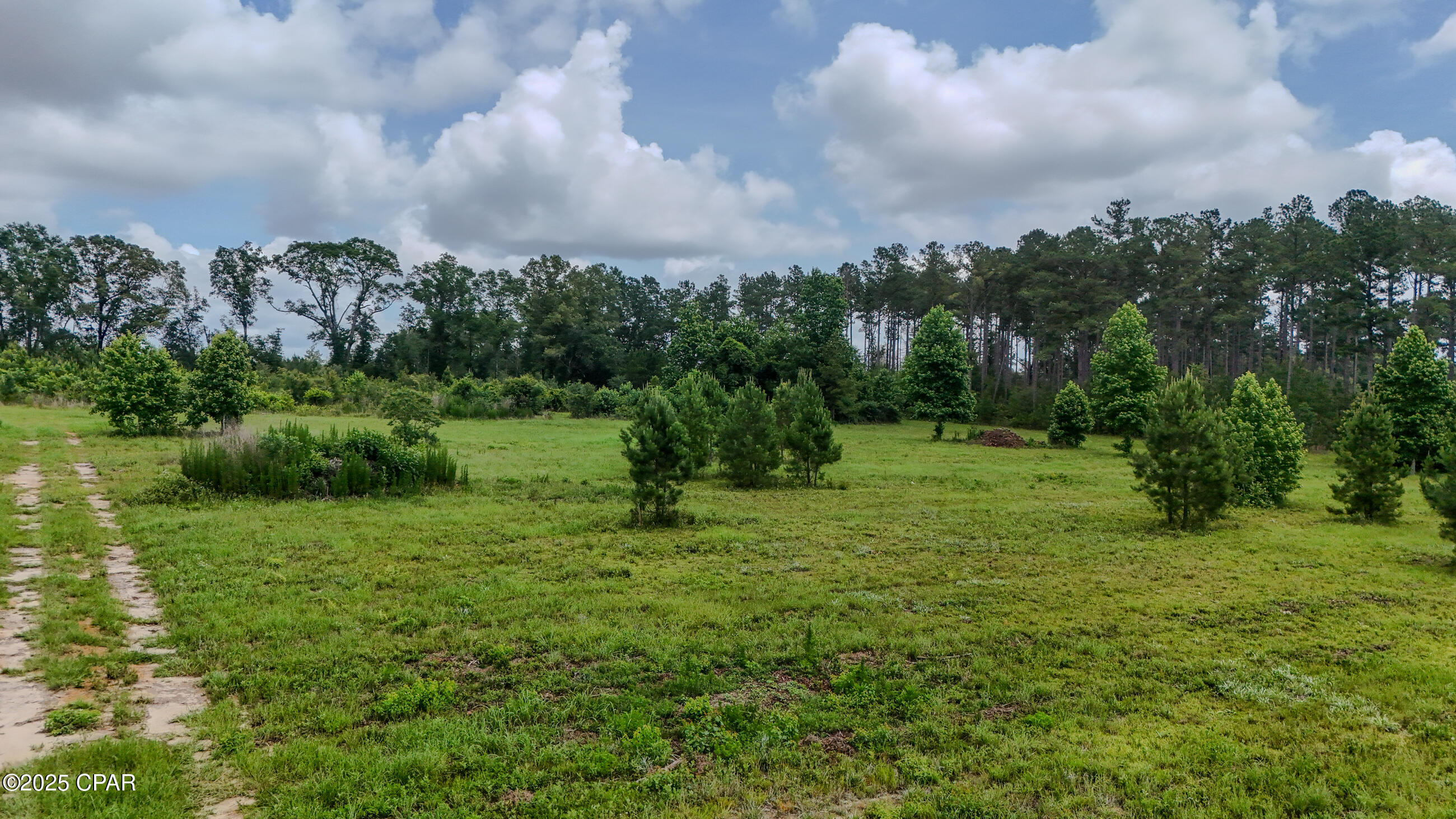 0 Wilderness Road Caryville, FL 32427 - Photo 3 of 16