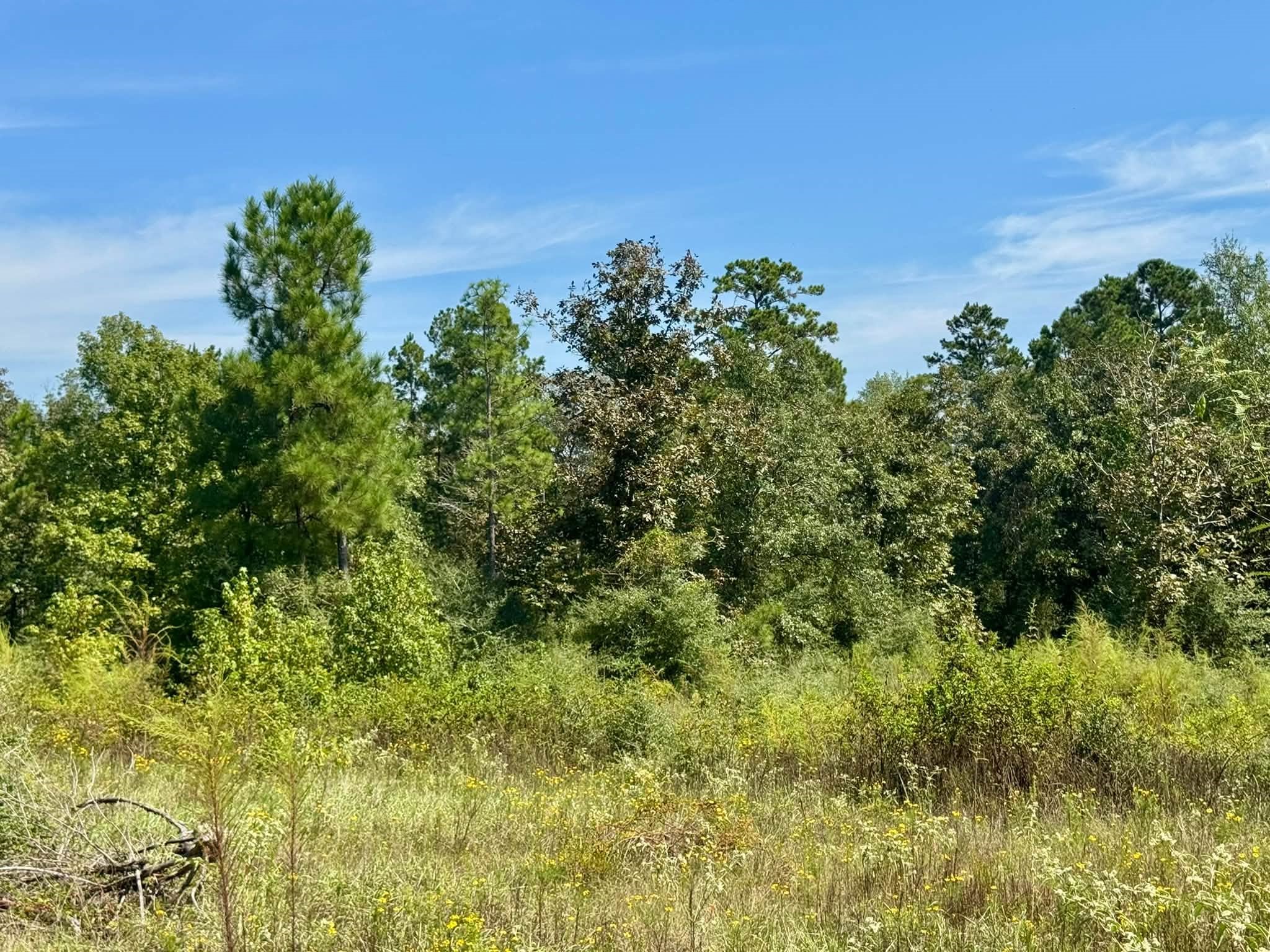 3 Private Road Hillister, TX 77624 - Photo 10 of 11 Gallery Image 10