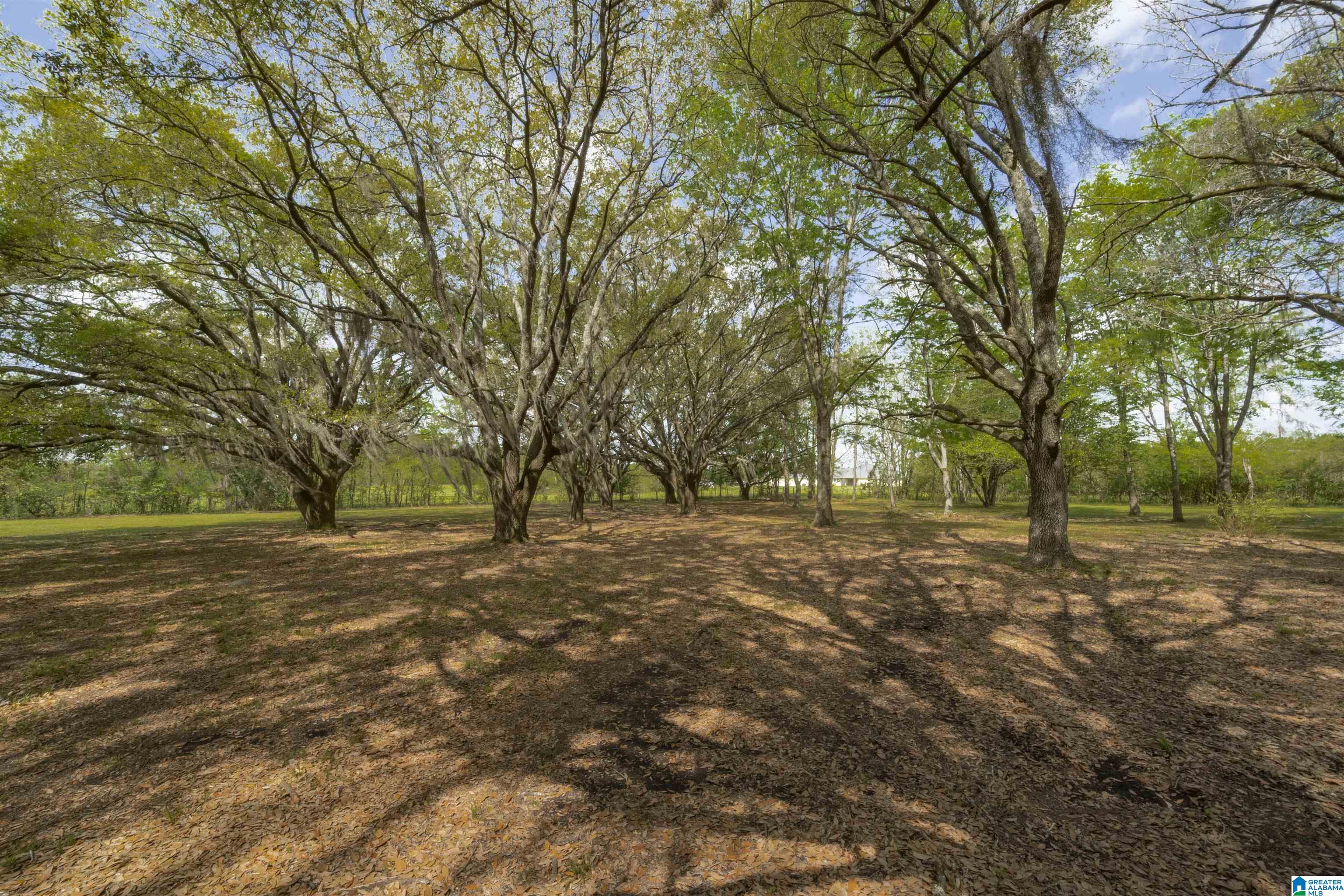 8185 Taylor Road East Montgomery, AL 36116 - Photo 84 of 86