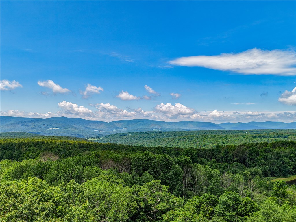 144 Sant Tompkins Road Prattsville, NY 12468 - Photo 40 of 40