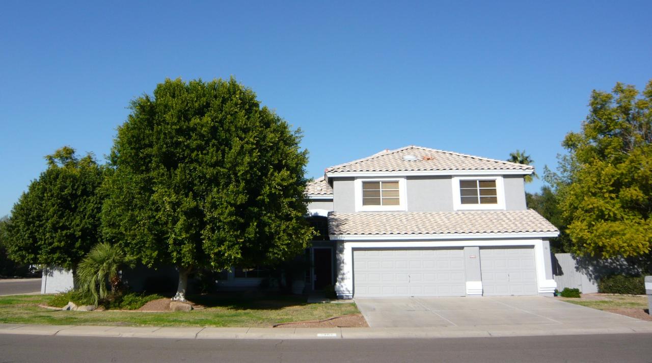 LARGE LUSH CORNER LOT