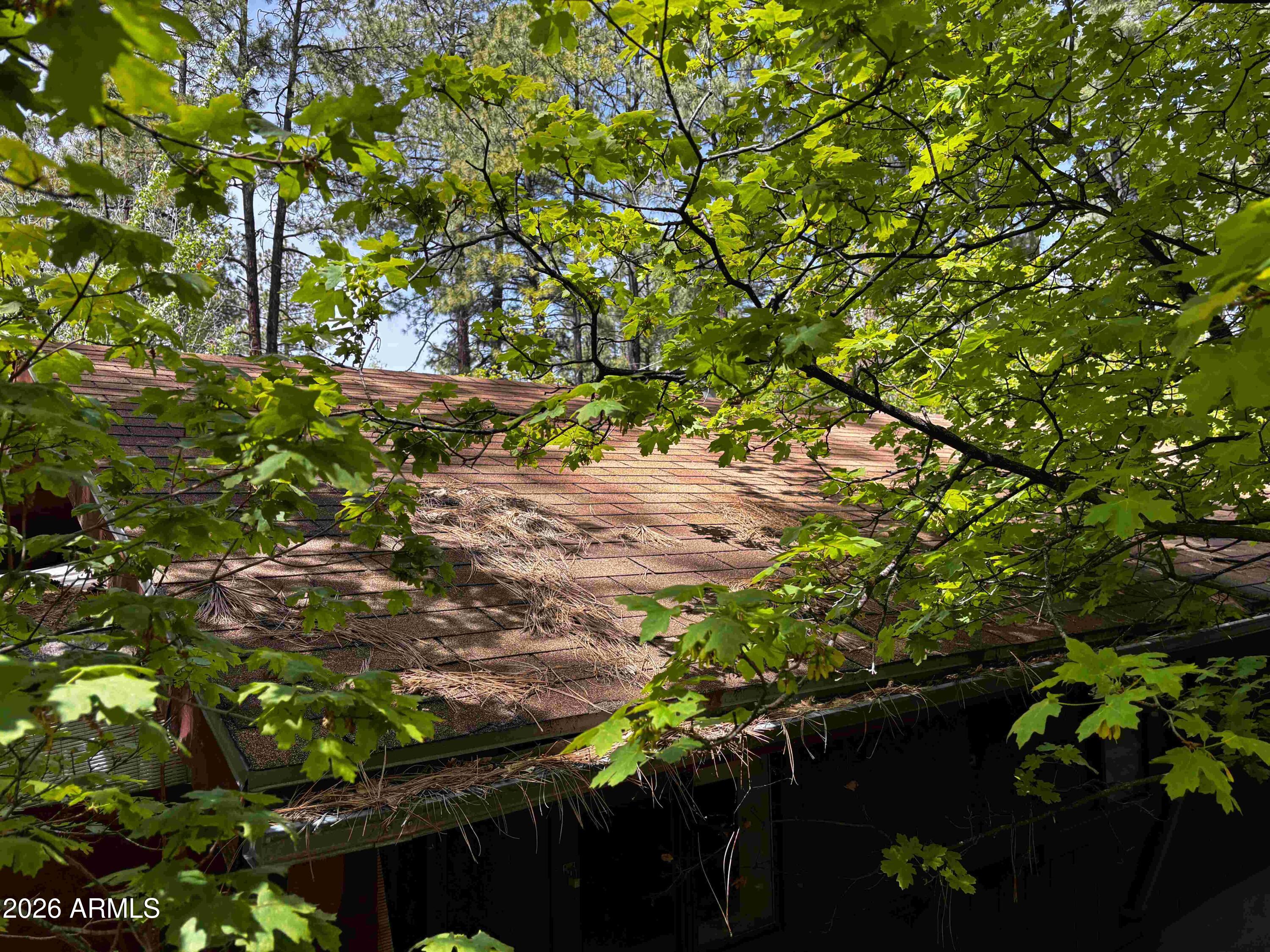 276 Beverly Trail Payson, AZ 85541 - Photo 15 of 49 thumbnail1776898944210IMG_4624