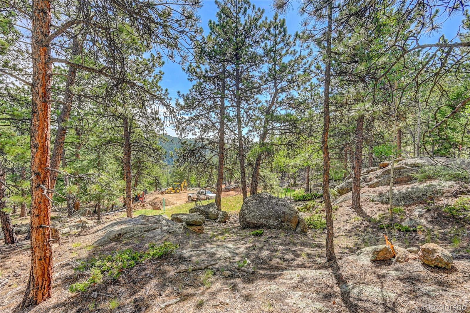 4501 County Road 72 Bailey, CO 80421 - Photo 10 of 14