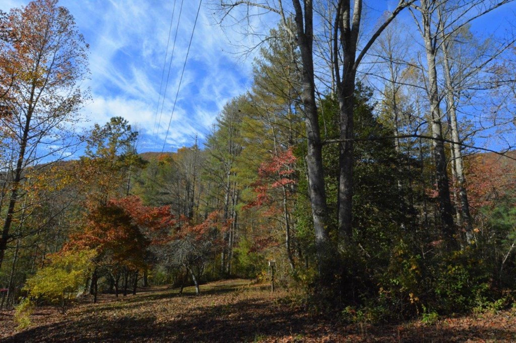1730 Franks Creek Road Robbinsville, NC 28771 - Photo 28 of 36